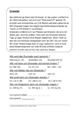 Dromedar.pdf